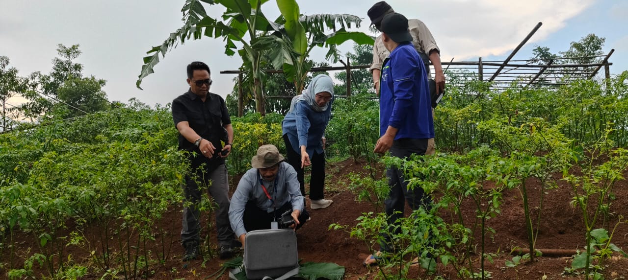 Dari Karang Taruna ke Ladang: Kisah Mantan Ketua yang Kini Ajarkan Anak Muda Cianjur Jadi Petani Andalan