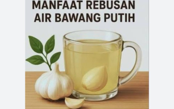 Rahasia Khasiat Bawang Putih, Si Kecil yang Jadi Penjaga Kesehatan Tubuh